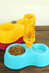 百貨新潮流 樂(lè)樂(lè)創(chuàng)意生活館與蘑菇街優(yōu)店引領(lǐng)寵物與日常用品的時(shí)尚融合